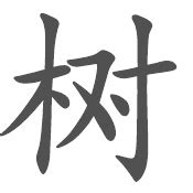 让汉字联结成树，体会不一样的识字方式