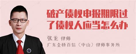 破产债权申报期限过了债权人应当怎么办-律师普法-法师兄