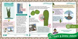 Ficha informativa | Flora Chilena | Espino | flora | Chile
