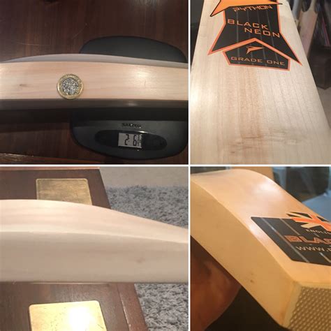 Monty Python Cricket 的图像结果