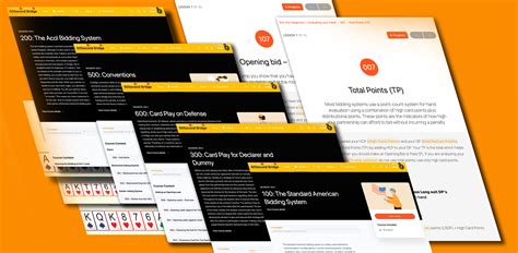 Image result for Bridge Video Lessons