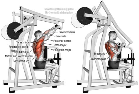 Upper Back Machine Row 的图像结果