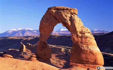 Computer Them 的图像结果