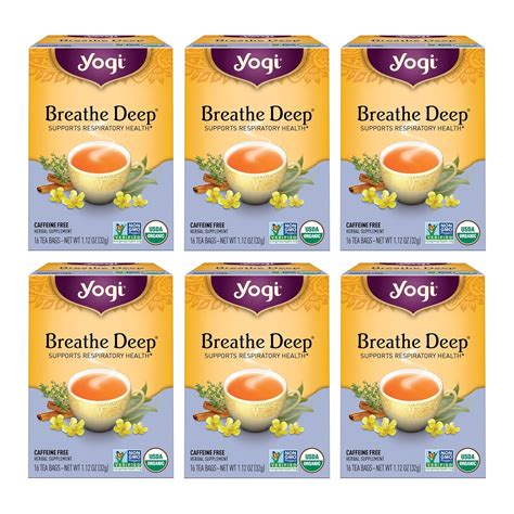 Amazon.com : Yogi Tea Breathe Deep Tea - 16 Tea Bags per Pack (6 Packs ...