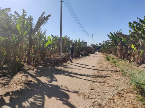 Amenti — Amenti in Kemet