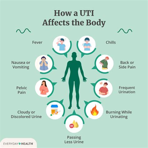 What Is a Urinary Tract Infection (UTI)? Symptoms, Causes, Diagnosis ...