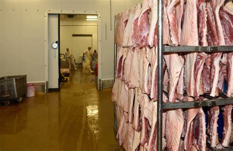 Inside the Meat Processing 的图像结果