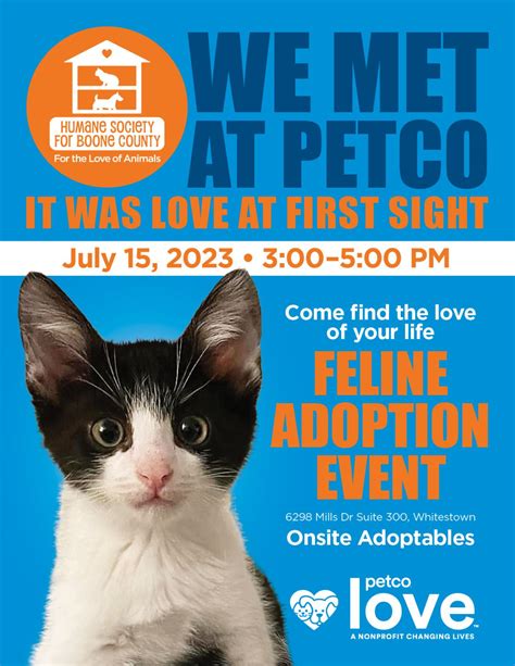 Humane Society for Boone County on LinkedIn: Come find the love of your ...