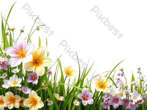 Image result for Spring Picture Border Texture PNG