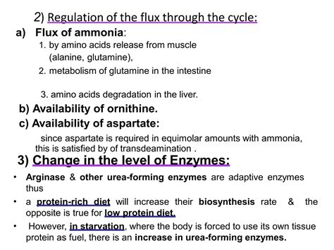 Amino acid metabolism | PDF