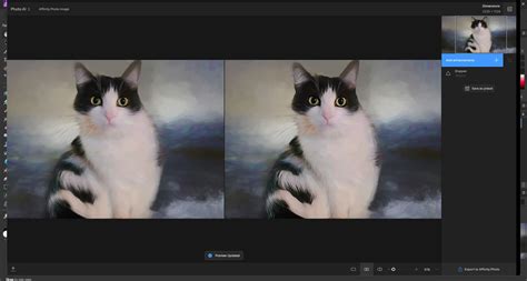 Plug in for Affinity Photo - General - Topaz Community
