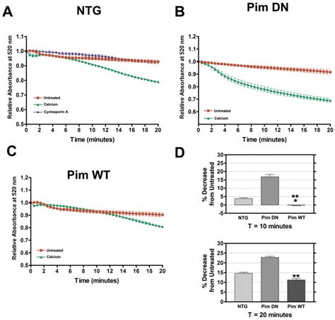 Image result for PIM2 Intracellular