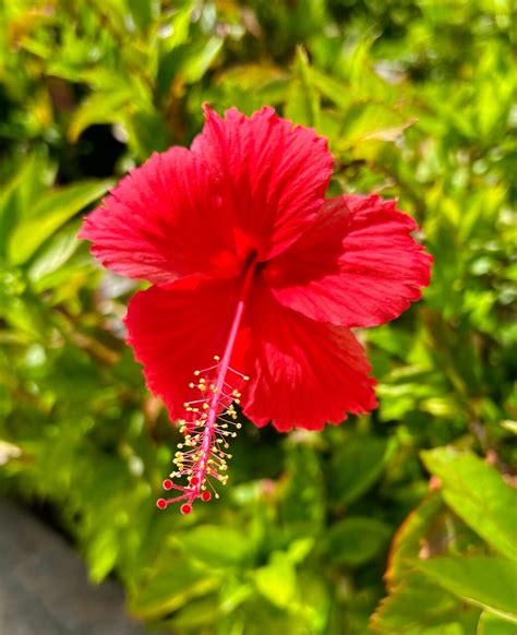 Amazing vacation!!! - Review of Royalton Bavaro, An Autograph ...