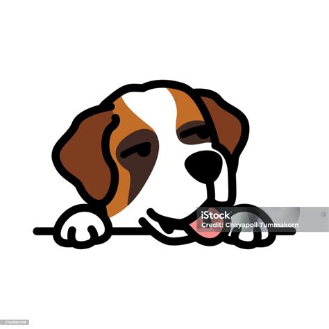 Funny Saint Bernard Dog Looking Sideways Cartoon Vector Illustration ...