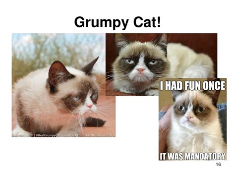 JavaScript Language Animal 的图像结果