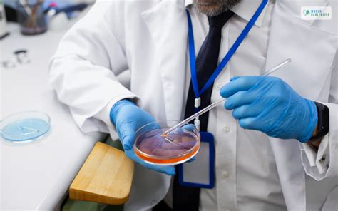 Image result for Acid-Fast Staining Method