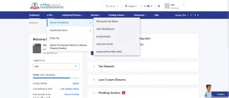 Identification and Generation of Applicable ITR User Manual | Income ...