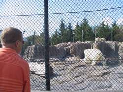 ZooLex Exhibit - The Arctic Encounter Polar Bear Exhibit