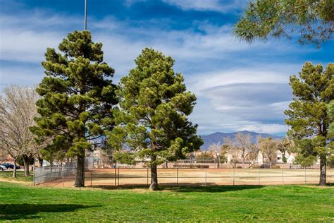 Children’s Memorial Park