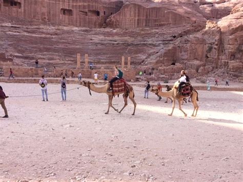 To Petra Tours - Day Trips (Petra - Wadi Musa) - All You Need to Know ...