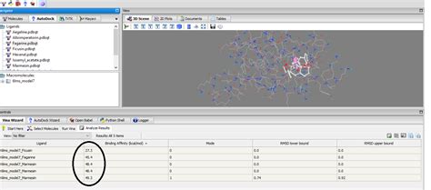 PyRx Tutorial 的图像结果