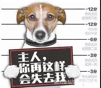 大连有奖举报48种禁养犬 包含中华田园犬藏獒等_手机新浪网