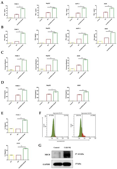 A Novel MICB-Targeting CAR-NK Cells for the Treatment of Pancreatic Cancer