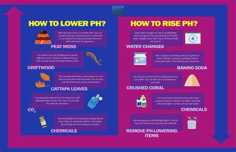 How To Lower Ph In Water Tank at Joe Alvarez blog