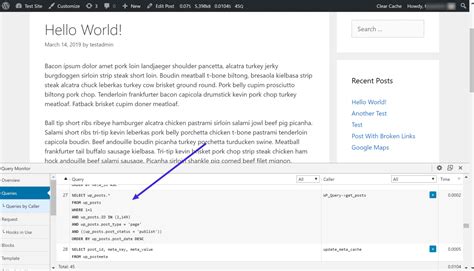 MySQL Database Example 的图像结果