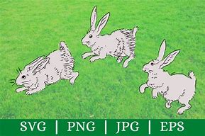 Image result for Rabbit SVG Black and White