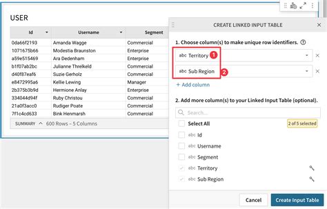 Input Table Example 的图像结果
