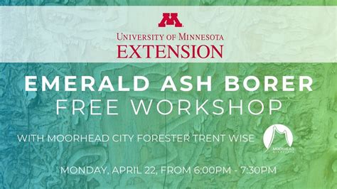 Emerald Ash Borer Solutions & Smart Tree Choices Workshop, Moorhead ...
