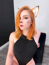 Image result for Fox in Python Code