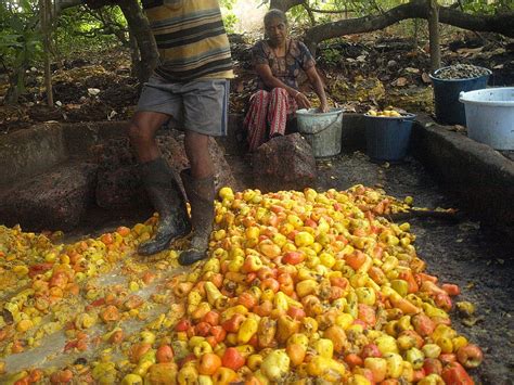 Inside India’s Unique and Hyper-Local Drink Culture
