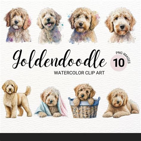 Image result for Cockapoo ClipArt