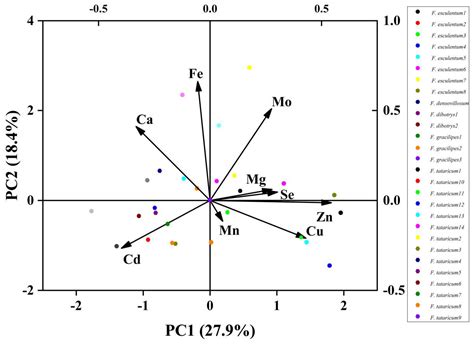 Principal Components and Cluster Analysis of Trace Elements in ...