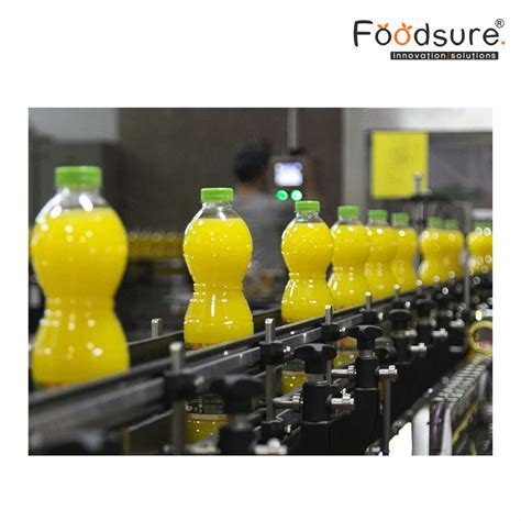 Mini Fruit Juice Processing Plant in New Delhi,Mini Fruit Juice ...