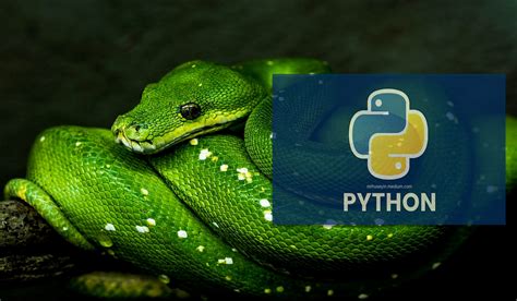 Image result for Python Data Code