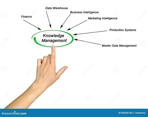 Image result for Knowledge Management Diagram