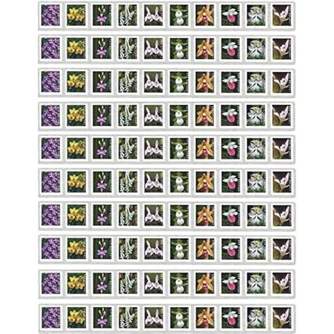 USPS Wild Orchids Flowers Forever Stamps Postal | Ubuy India