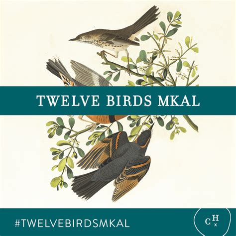 Image result for Curious Handmade Patterns