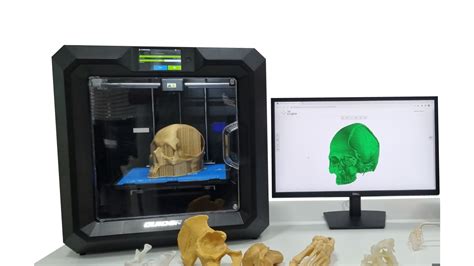 Virtual Dissection Table 的图像结果