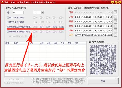 高分模式_宝宝取名软件使用帮助