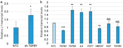 Stromal Interferon Regulatory Factor 3 Can Antagonize Human ...