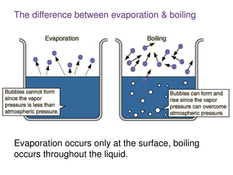 PPT - Classifying Matter: Knowts on Mass, Volume, and States PowerPoint Presentation - ID:9223389