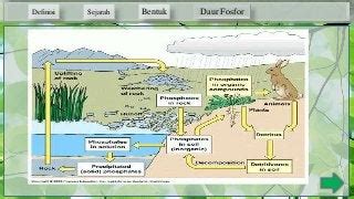 Image result for Spring Box Structure