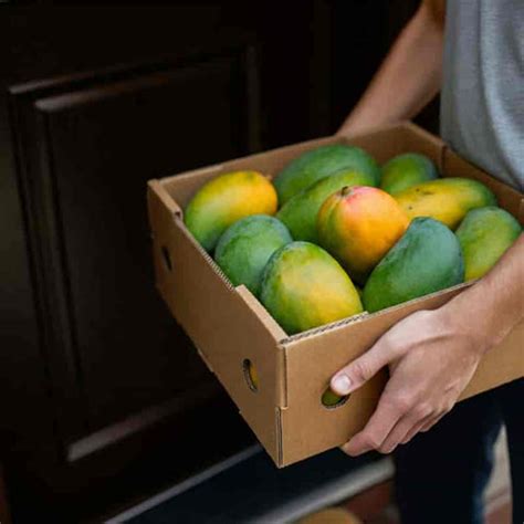 Fresh Mango Home Delivery: Order Now | AlphonsoMango.in