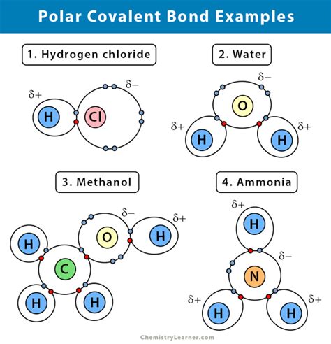 Polar Covalent Compounds Examples 的图像结果