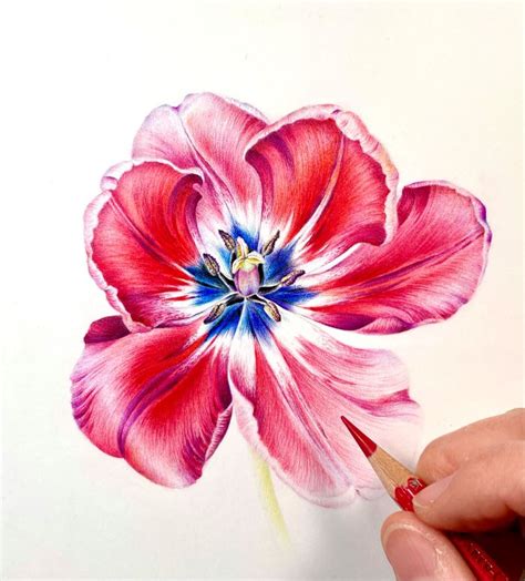 Image result for How to Draw Spring