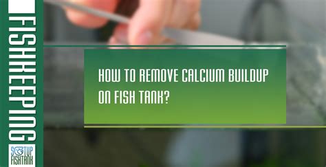 Image result for External Fish Filter Calcium Buildup